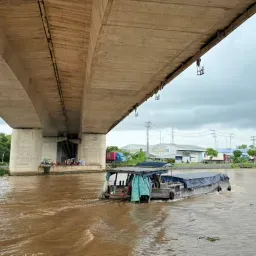 Avatar người đánh giá
