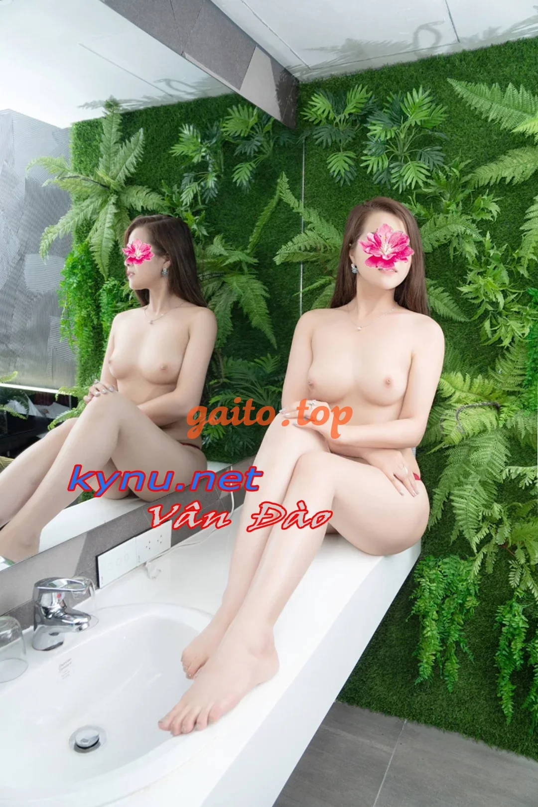 Website