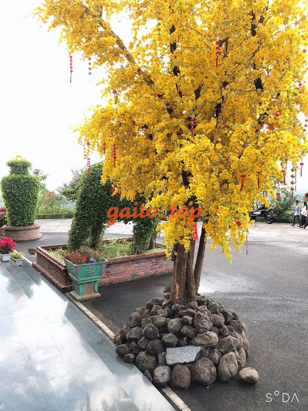 Website