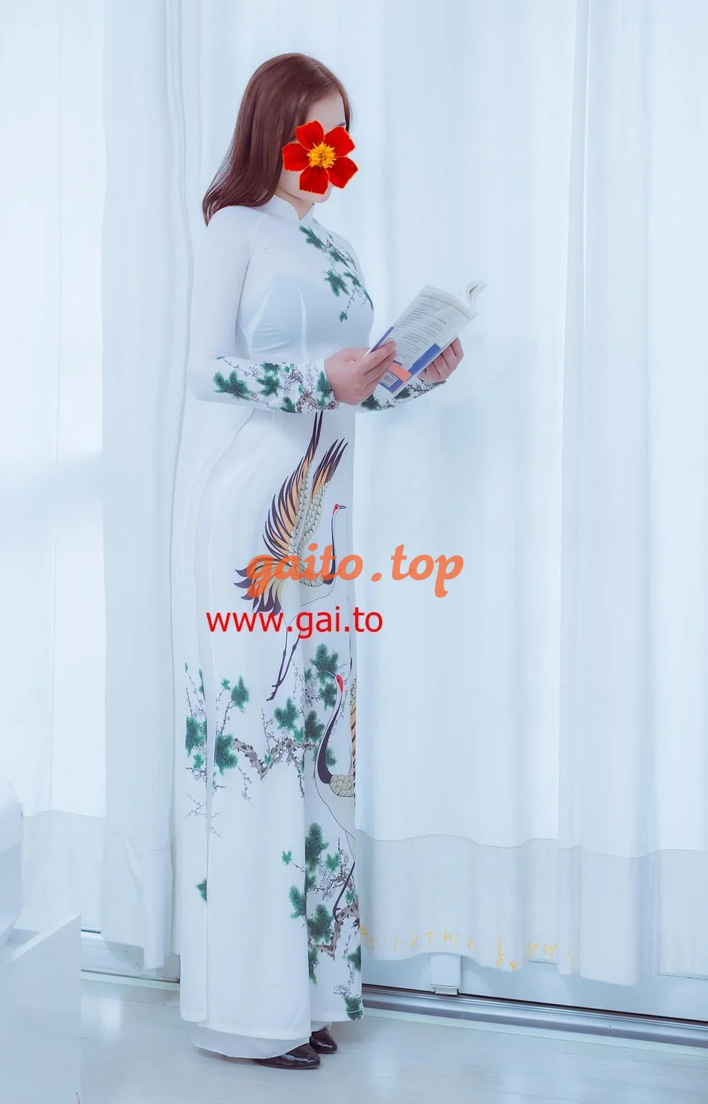 Website