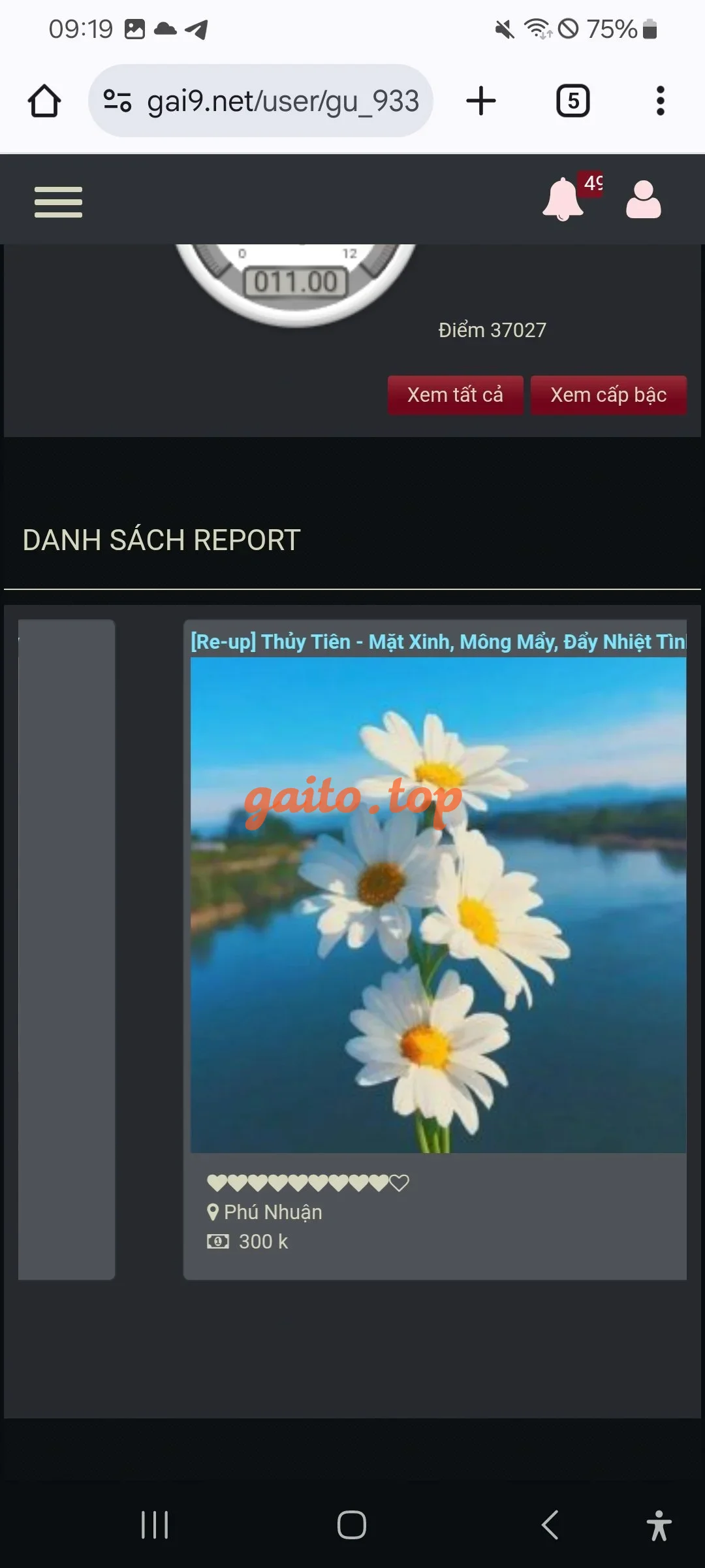 Website