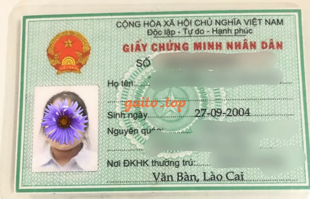 BĂNG NHI-BÉ 2K4 CHUBBY VUI VẺ, DỄ THƯƠNG.