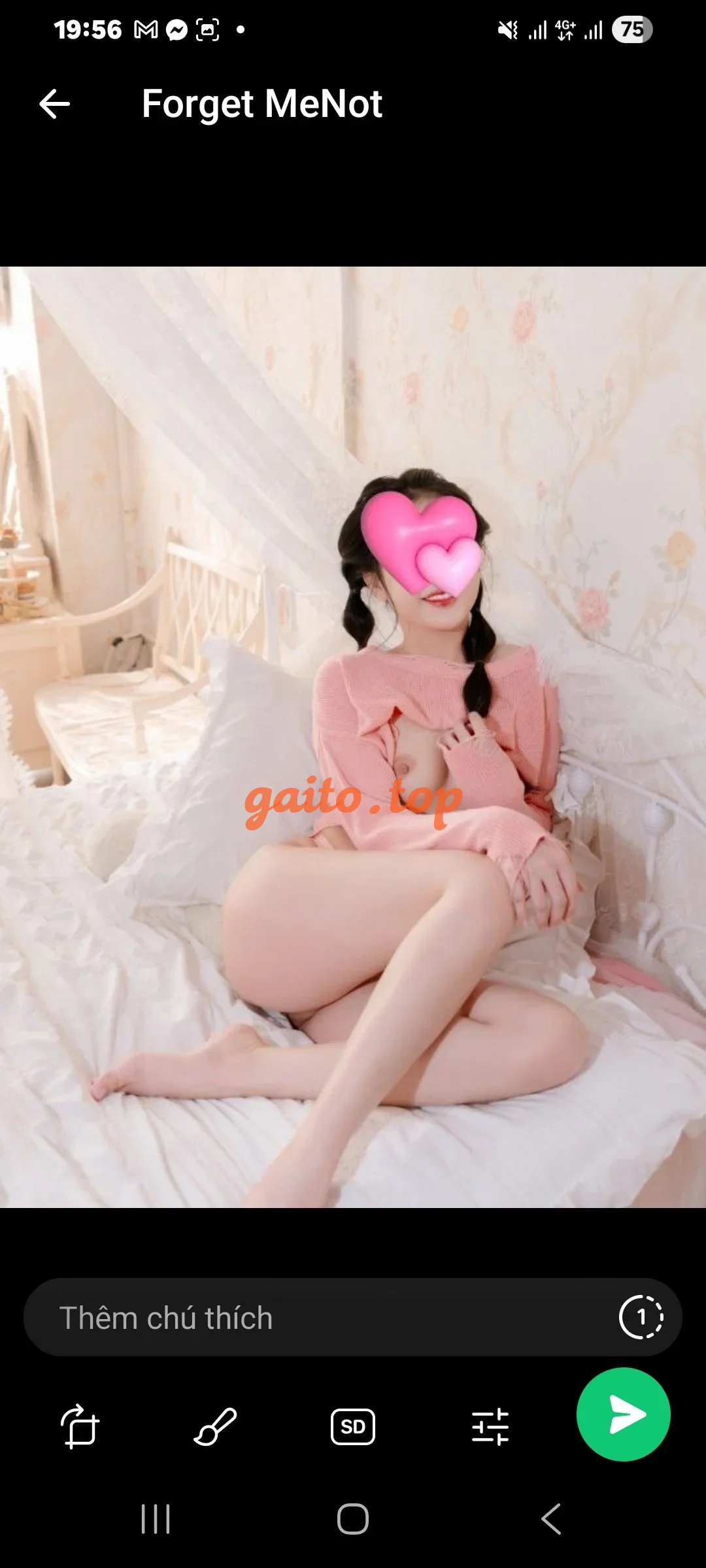 Website