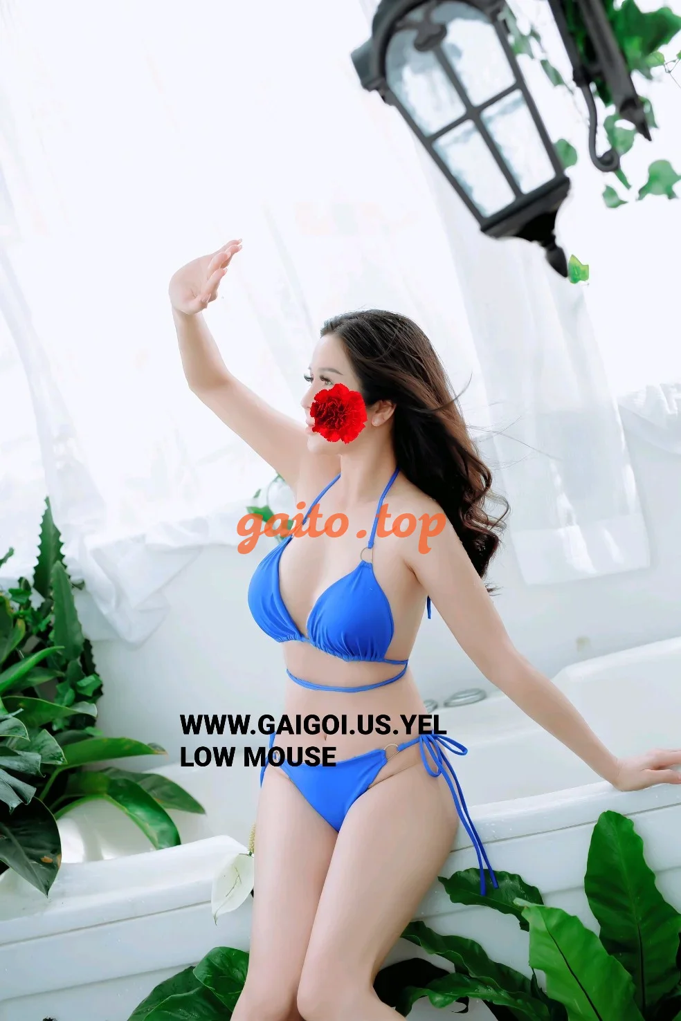 Website