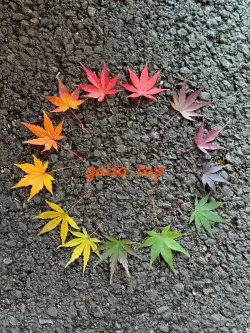 MINH TUỆ_GÁI NON TRẮNG TRẺO HỒNG HÀO VÚ MÔNG BÝM MÚP RỤP